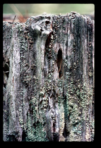 Slide107.jpg